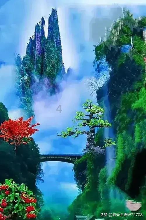 植物大战僵尸14
